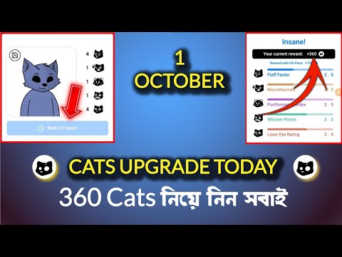 1 October upgrade cats | cat photo upload | cat avatar today