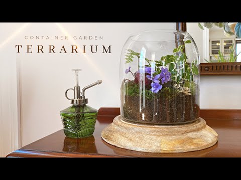 How To Plant A Terrarium - Open Terrarium Idea - Indoor Container Gardening