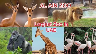 Al ain zoo|Largest zoo in uae|Al ain zoo walking tour|Uae attractions🇦🇪