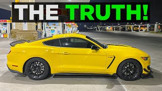 Why I Bought a Shelby GT350 Instead of a Regular 5.0 Mustang GT!