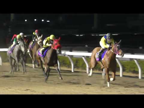 浦和11Rの桜花賞Slトライアル（1～3着馬に優先出走権）第16回ユングフラウ賞（Sll・1400m）は②ミチノアンジュ（牝3・父ドレフォン）が楽に先手から前半スローのマイペース逃げで快勝！重賞初制覇