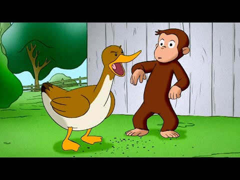 George and the Ducklings 🐥🐵 Curious George 🐵 Animal Friends