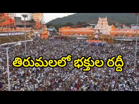 తిరుమలలో భక్తుల రద్దీ..! Huge Devotees Rush At Tirumala Tirupati Temple #tirumala #tirupati