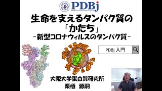 Shapes of proteins in living things – Molecules of COVID-19 生命を支えるタンパク質の形 －新型コロナウィルスのタンパク質 - (5 min)