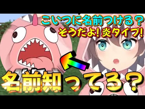 【ホロライブ 切り抜き 夏色まつり 】マイクラ【Minecraft】新ホロ鯖 「抱っこしている恐竜って名前あるんですか？」こいつに名前つける？炎タイプ！【カフェモカ】