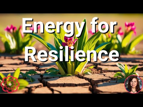 Energy for Resilience