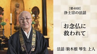 【浄土宗の法話】「お念仏に救われて」【令和６年２月】