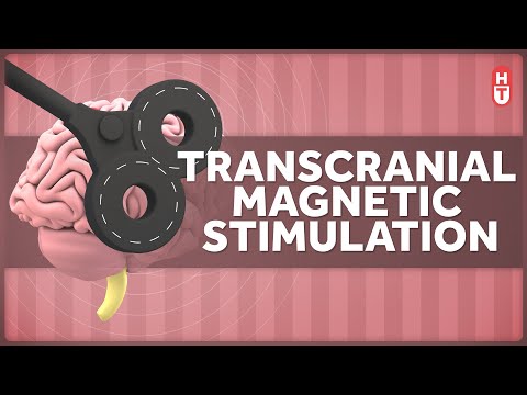 Transcranial Magnetic Stimulation: How Does that Work?