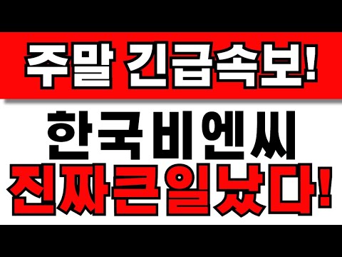 [한국비엔씨 주가전망] 주주님들 필수시청! 앞으로 이렇게 대응하세요