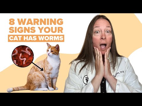 8 Signs Your Cat Has Worms