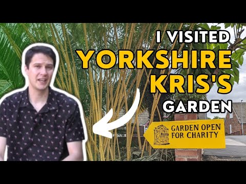 I visited Yorkshire Kris's exotic garden