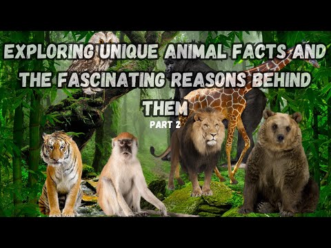 Exploring Unique Animal Facts and the Fascinating Reasons Behind Them part 2