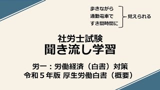 社労士聞き流し学習（労一：白書対策）「令和５年版厚生労働白書」