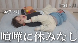 【年子育児】姉弟喧嘩に休みなし！…だけど時々仲良くしてる姿にほっこり♪｜初詣vlog｜No break from sibling quarrels.