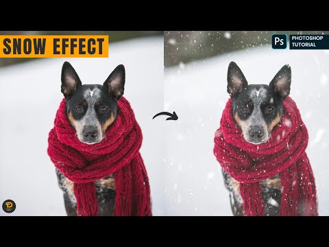 Snow Effect In Photoshop: Add Realistic Snow to Your Photos with Photoshop