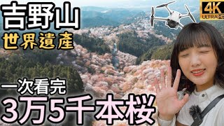 Drone｜Japan Spring Nara Yoshino World Heritage Mt.｜Nara Park Cherry Blossoms ｜Shot by DJI MINI 3 Pro