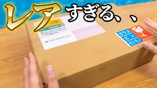 すみっコぐらしの当選品が届きました！！角落生物 fromegg