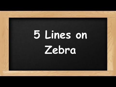 Zebra Short 5 Lines in English || 5 Lines Essay on Zebra