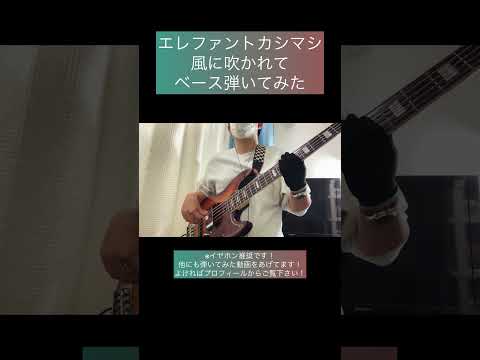 風に吹かれて / エレファントカシマシ 【ベース弾いてみた】 #shorts #ベース #ベース弾いてみた #bass #basscover #エレファントカシマシ