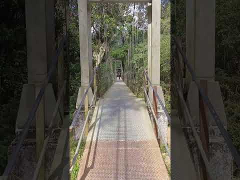 Beautiful views from  Karappara hanging bridge, Nelliyampathy