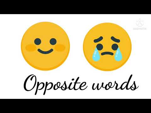 Learn 50 Opposites|Opposite Word for kids@Peekaboo_Kidz