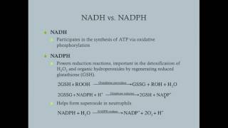 G6PD Deficiency and the Pentose Phosphate Pathway - CRASH! Medical Review Series