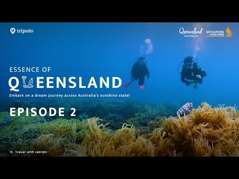 Essence of Queensland | Great Barrier Reef's Magic | Web Series | Episode 2| Ft. Travel with Searats