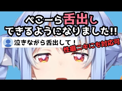 【ぺこーらV3】Ver3.0になって多くのニーズに応えられるようになったぺこーらまとめ【ホロライブ/兎田ぺこら切り抜き】