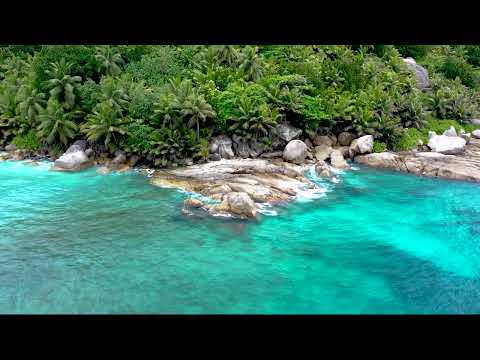 30 mins 4K UHD Caribbean Jamaican Mediterranean Summer 2023 Beach Cocktail Travel Music Good Vibes