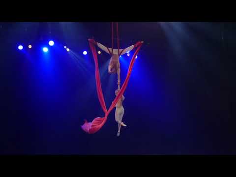 Aerial Silks Duo Spin Circus Act Elegant Entertainment