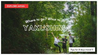 What to do in Yakushima ? | Explore Japan