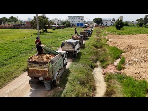 AMAZING, New Place Start Filling Use Twos Dozer Pushing Soil Stone Ft Dump Truck Unloaded