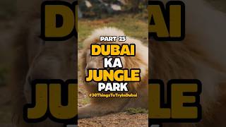 PART 25:#30ThingsToTryInDubai Dubai Safari Park 📞8901890110 #thingstodoindubai #placestovisitindubai