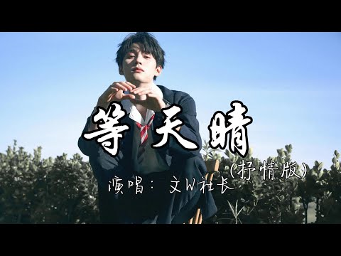 文W社长 - 等天晴（抒情版）『我好想身边有你一起 陪我等天晴，陪我翻山越岭 陪我等风停，看天边落日 在海心里倒映。』『动态歌词MV』