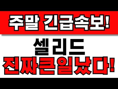 [셀리드 주가전망] 주주님들 필수시청! 앞으로 이렇게 대응하세요