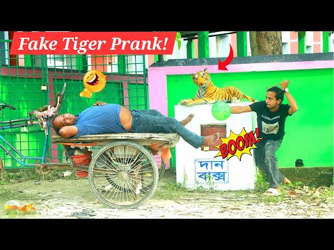 Fake Tiger SCARES Everyone in This Hilarious Prank Video!