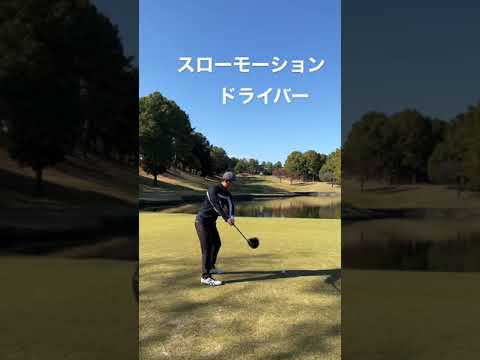 スロー ドライバー編 ⛳️🏌️‍♂️ #golf #shorts #short #ゴルフ #ゴルフスイング #ゴルフ男子 #ゴルフ女子 #ゴルフ練習