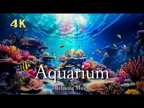 ４Kアクアリウム【リラックス音楽】サンゴ礁に住む熱帯魚とウミガメ 🐠｜8時間リモート水族館｜Relaxing Music ＆ UHD  Aquarium Video