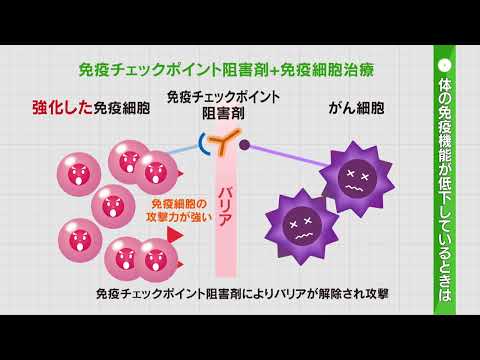 2024年2月18日放送　医ＴＶスペシャル「健康寿命と免疫の視点から～がん治療における免疫の可能性を探る～」