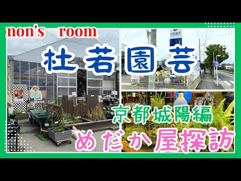 【メダカ】水生植物といえばここ！杜若園芸さんストアツアー！