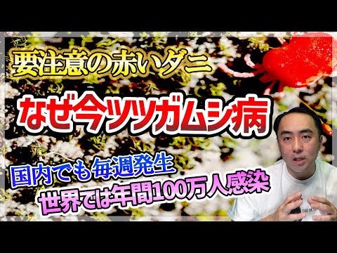 【ツツガムシ病】なぜ今ツツガムシ病【論文、つつが虫病、健康】