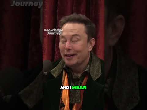 Elon Musk on Sam Bankman-Fried