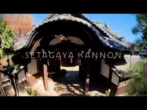 SETAGAYAKANNON 世田谷観音