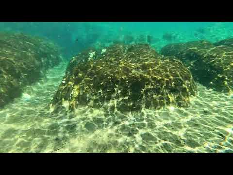 HUGE FLORIDA SPRINGS BY BOAT