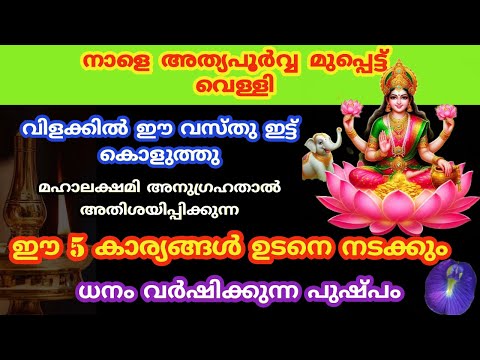 നാളെ അത്യപൂർവ്വ മുപ്പെട്ട് വെള്ളി ഈ മന്ത്രം ജപിച്ചാൽ അതിശയിപ്പിക്കുന്ന ഫലം