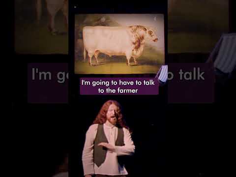 Cows are hard to draw (especially the corners) #standupcomedy