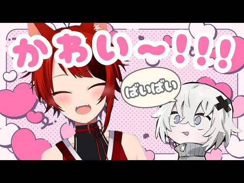 莉犬くんが語るメルトくんのかわいいところ【すとぷり文字起こし】【めておら切り抜き】【莉犬/切り抜き】