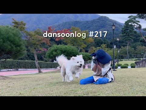 Autumn rural life in Korea vlog 217) Neighborhood foolish sister