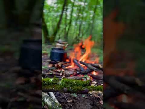 Corn cobs and tea in mountains | NatureQuest With Bilal #mountains #travel #nature