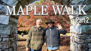 Exploring Maple Walk: Stunning Japanese Maples & Rare Plants | Part 2